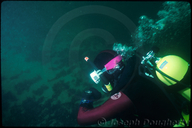 UC Berkeley Scientific Diving Program: using dive compass at North Monastery Beach, Carmel
