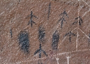 Pictographs and Petroglyphs / Cattleguard Site in Buckhorn Wash (Utah)