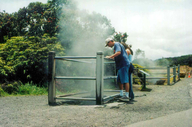 Steam vent at Hawaii Volcanoes National Park (Hawaii)