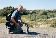 Joseph dougherty with magellanic penguin, spheniscus magellanicus