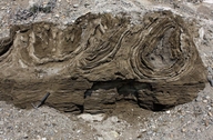 Soft-sediment Deformation in Lakebed Deposits