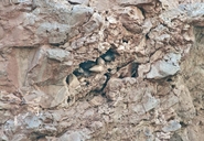 Calcite Crystals in the Redwall Formation / Grand Canyon