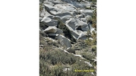 Glacial polish on granite, Pine Creek Canyon, Sierra Nevada east side