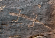 Lizard Petroglyph / Dinosaur National Monument