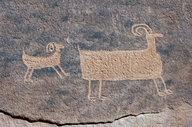 Bighorn Sheep Petroglyph / Kane Creek Canyon site (Utah)
