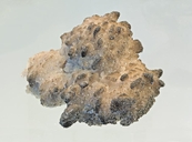 Colemanite pseudomorph after Inyoite, with Todorokite
