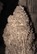 Stalagmite with Corraloids / Lehman Caves / Great Basin National Park