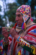 Peruvian Shamon