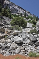 Cookie Cliff Rockslide / Yosemite National Park