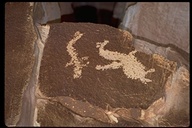 Petroglyphs, Ute, Entrada Formation at Arches National Park near Wolfe Ranch, Utah, USA