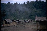 Village in forest and mist seen on railroad trip from Quito to Guaxaquil, Ecuador, 1971