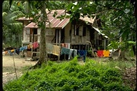 Malaysian house in rubber plantation, Cameron Highlands, Malaysia, 1976