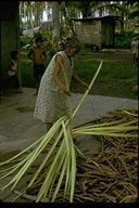 woman cutting palm