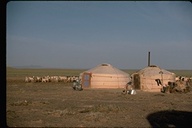Yurts for tour groups in the Gobi Desert, Mongolia, 1976