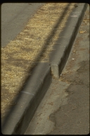 Hayward Earthquake Fault activity shown in offset street curb