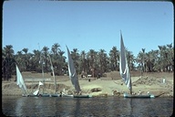 Village along the Nile