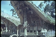 Indigenous housing: Rumah Toraja, Ranbepao, Sulawesi, Indonesia