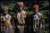 Indigenous people: Papua, New Guinea, Indonesia