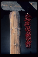 Chili-pepper Ristras at Golondrinas, New Mexico
