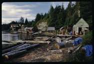 A view of houses and boats in Meyers Chuck (Wrangell), Alaska
