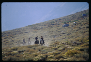 Horseback riders in the eastern Sierra Nevada Mountains
