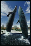 Life-size bronze sculptures of a gray whale mother and her calf the Birch Aquarium at Scripps Institute of Oceanography