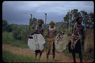 Swazi warriors, Swaziland, Africa
