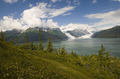View from Point Doran, Cascade & Barry Glaciers, Prince William Sound, Alaska