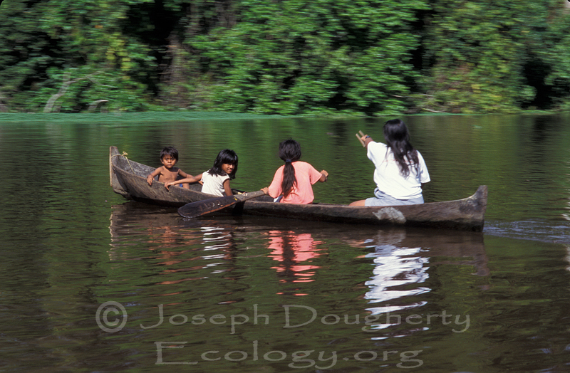 Native dugout canoe on lowland rainforest rivers of Tortuguero National Park in Costa Rica.