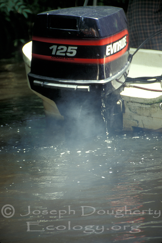 Exhaust from tour boat with outboard motor, showing tourists the rainforest.