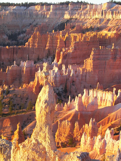 Bryce Canyon from Sunrise Pt.