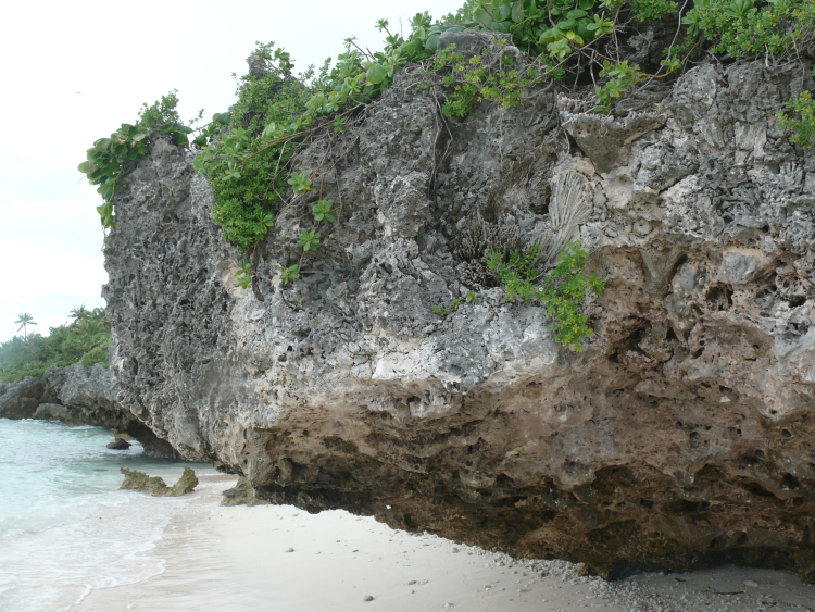 Niau atoll, cliffs with fossil corals