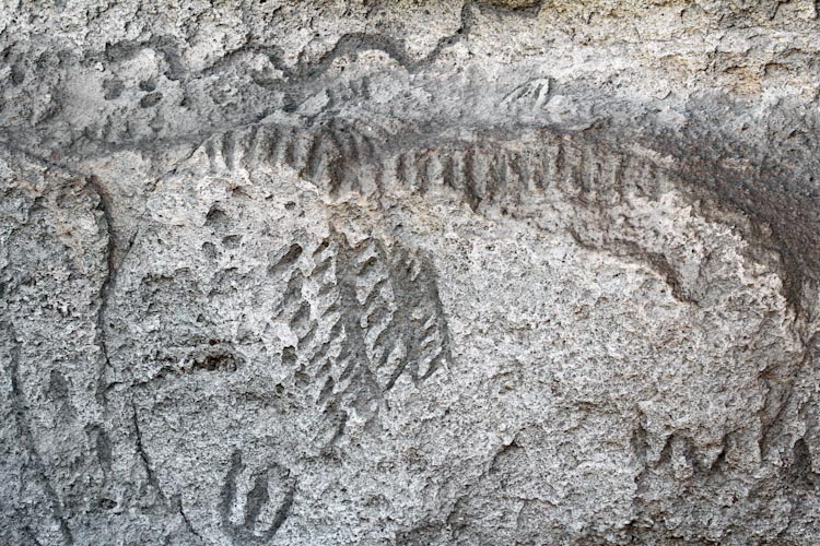 Petroglyphs / Lava Beds National Monument