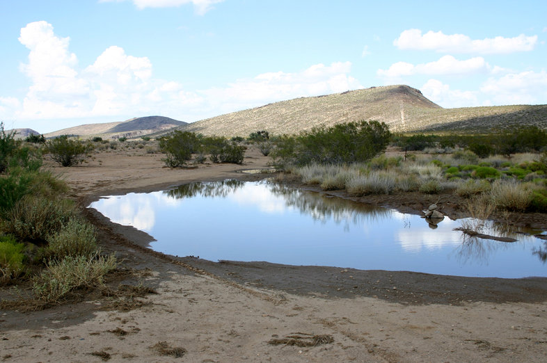 Lanfair Valley (via Mojave Rd.) in Mojave Desert