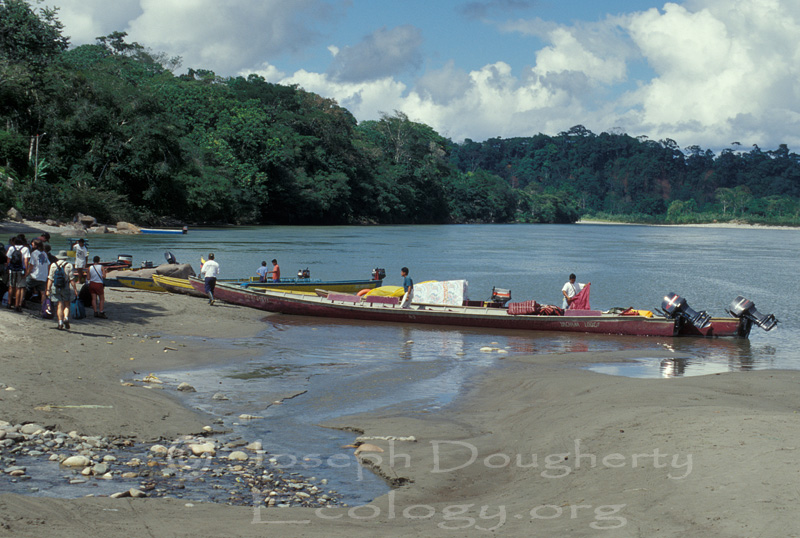 Rio Napo panga launching point at Misahuallí.