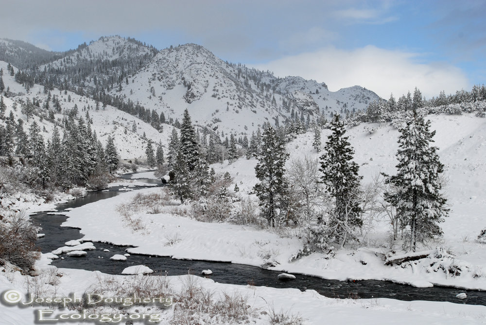 Truckee River paralleling I-80 west of Reno, after a winter blizzard.