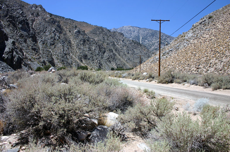 Cottonwood Creek in Sierra Nevada