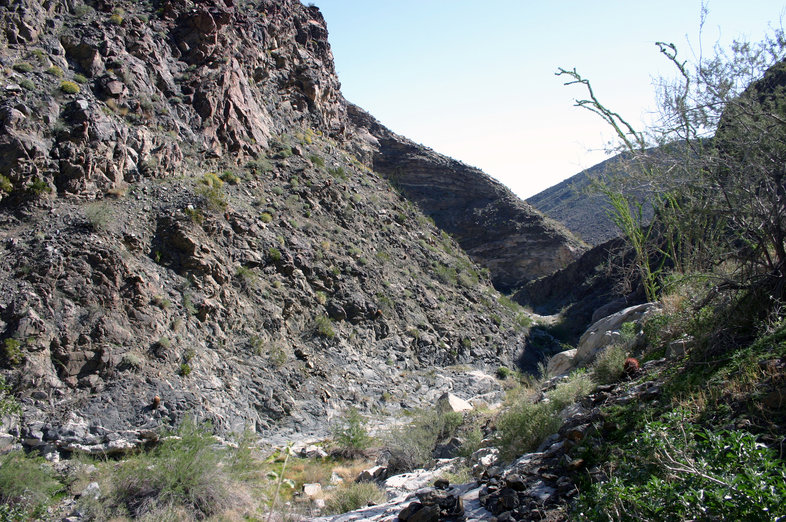 Guadalupe Creek in Peninsular Range