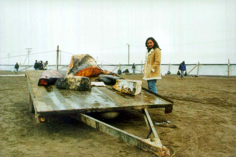Whale Meat at Barrow (Alaska)