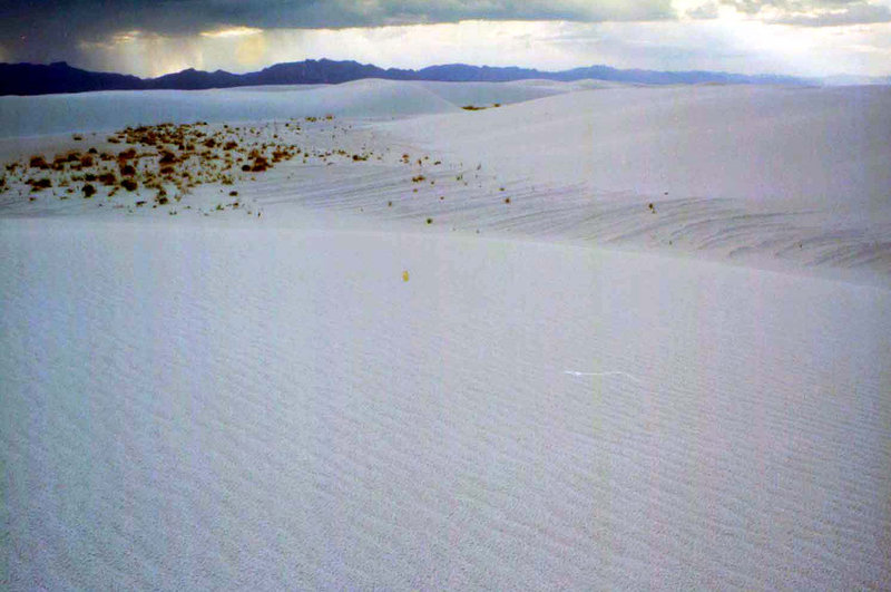White Sands National Monument (New Mexico)