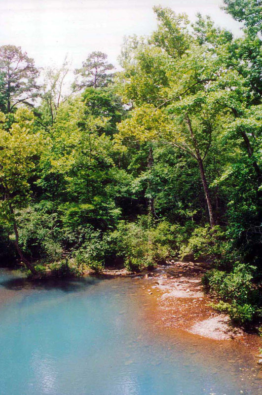 Ozark National Forest (Arkansas)