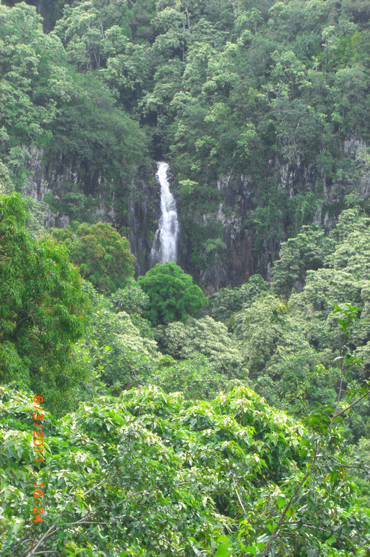 Koolau Forest Reserve (Hawaii)