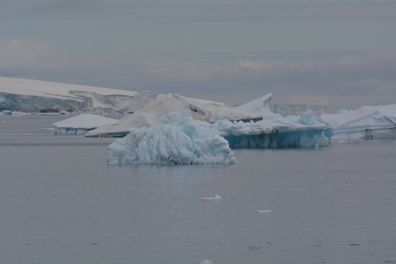Icebergs off Brown Bluff, Antarctica