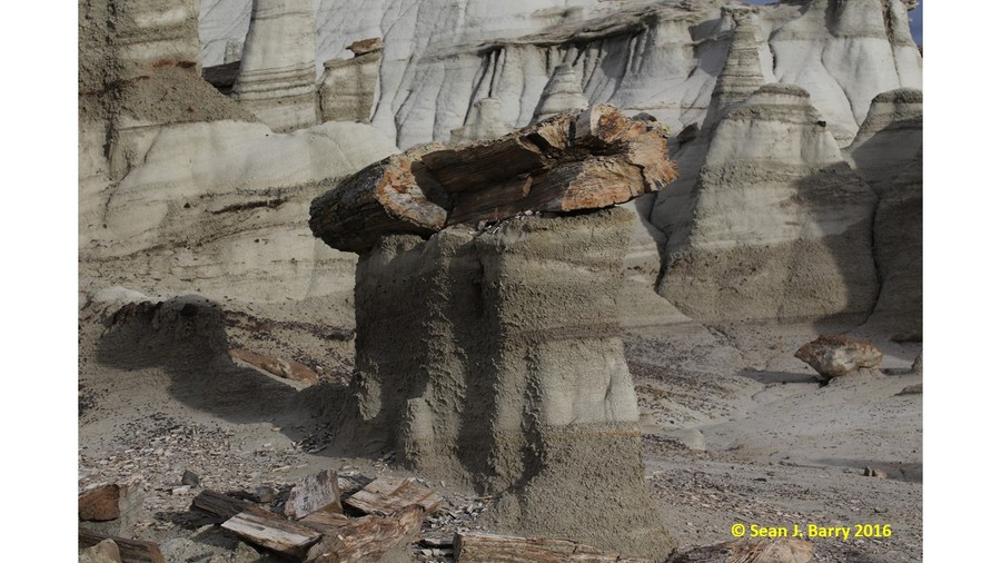 Petrified log atop a sandstone hoodoo, Bisti De Na Zin