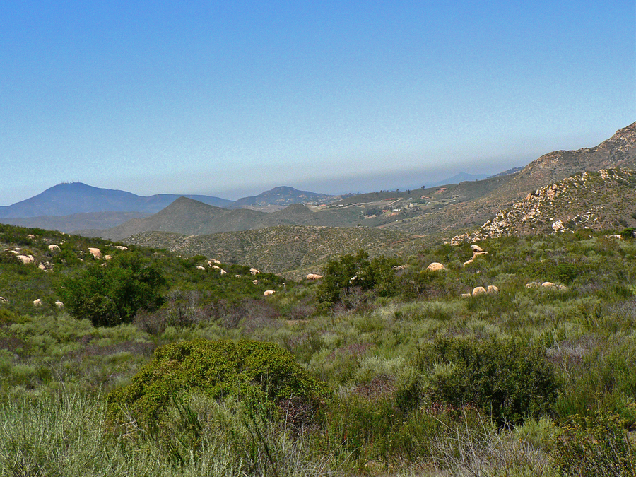 View of San Miguel Mtn.