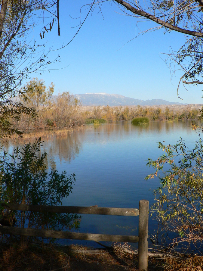 View of San Bernardino Mtns