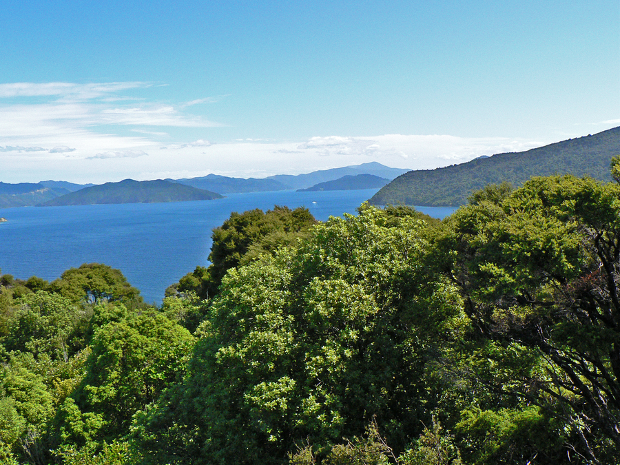 View from Motuara island summit.