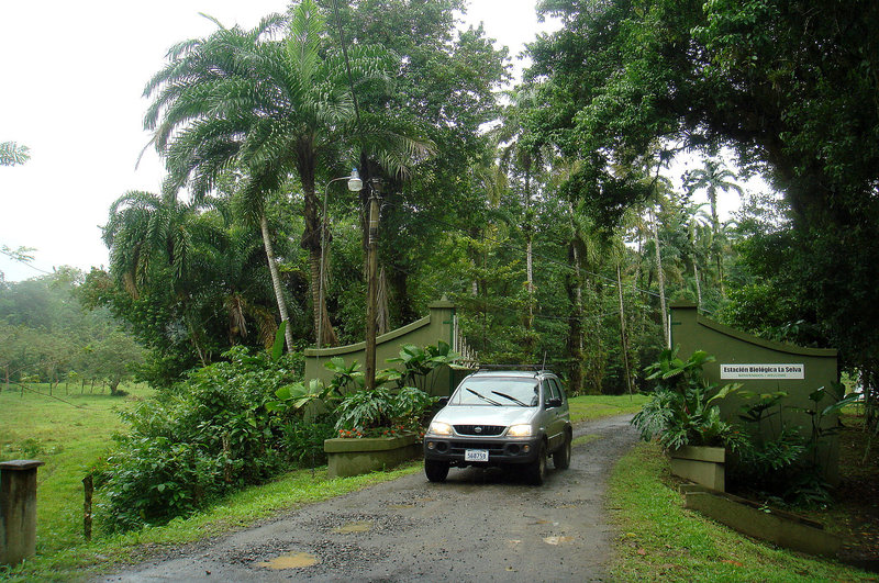 Sarapiqui (Costa Rica)
