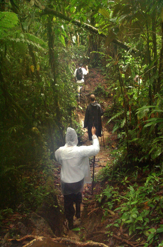 Rara Avis (Costa Rica)