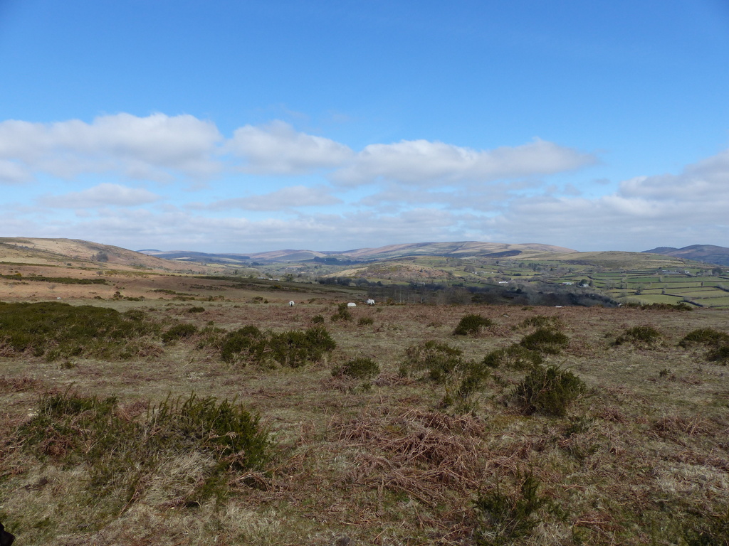Dartmoor view near Sharp Tor
